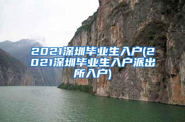 2021深圳毕业生入户(2021深圳毕业生入户派出所入户)