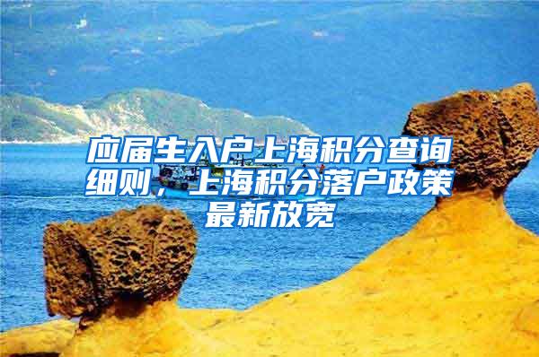 应届生入户上海积分查询细则，上海积分落户政策最新放宽