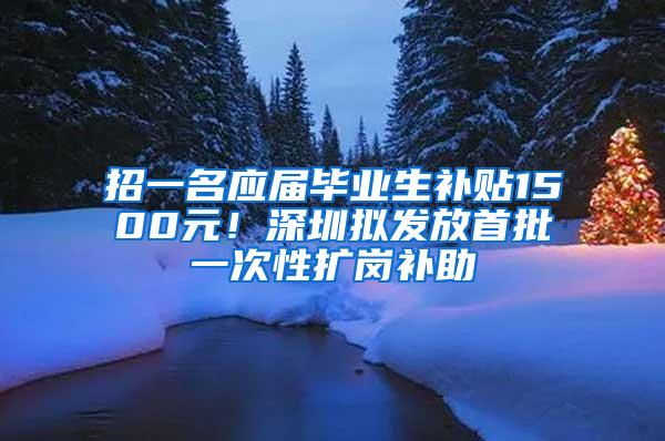 招一名应届毕业生补贴1500元！深圳拟发放首批一次性扩岗补助