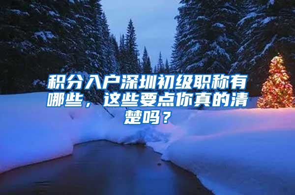 积分入户深圳初级职称有哪些，这些要点你真的清楚吗？