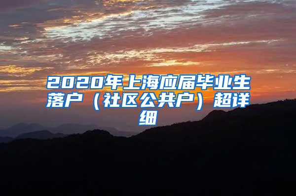 2020年上海应届毕业生落户（社区公共户）超详细