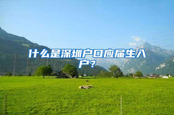 什么是深圳户口应届生入户？