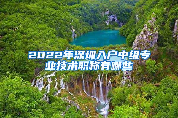 2022年深圳入户中级专业技术职称有哪些