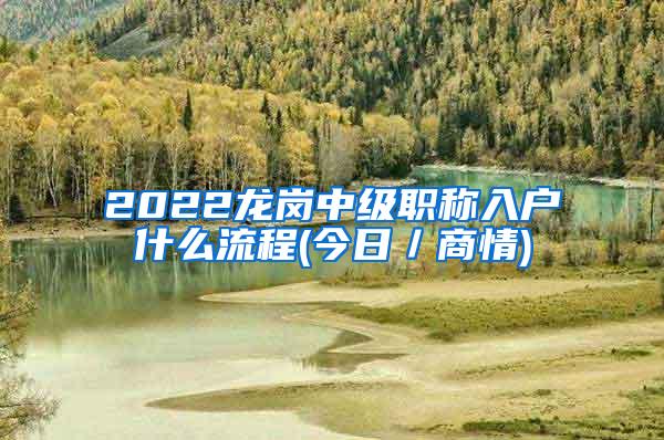 2022龙岗中级职称入户什么流程(今日／商情)