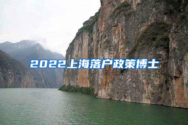 2022上海落户政策博士