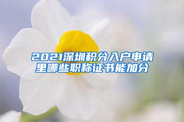 2021深圳积分入户申请里哪些职称证书能加分