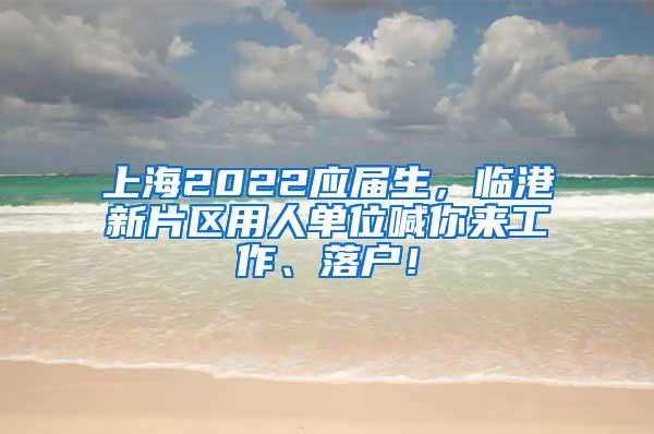 上海2022应届生，临港新片区用人单位喊你来工作、落户！