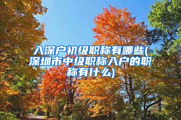 入深户初级职称有哪些(深圳市中级职称入户的职称有什么)