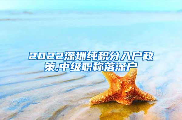 2022深圳纯积分入户政策,中级职称落深户