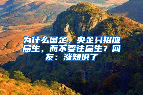 为什么国企、央企只招应届生，而不要往届生？网友：涨知识了