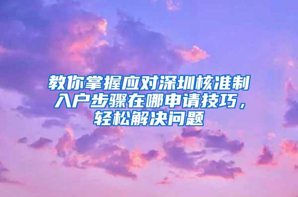 教你掌握应对深圳核准制入户步骤在哪申请技巧，轻松解决问题