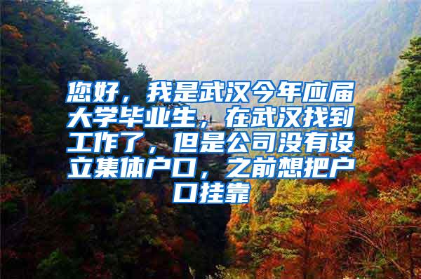 您好，我是武汉今年应届大学毕业生，在武汉找到工作了，但是公司没有设立集体户口，之前想把户口挂靠