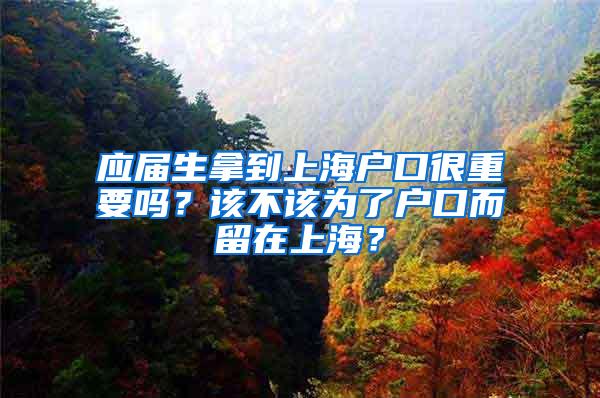 应届生拿到上海户口很重要吗？该不该为了户口而留在上海？