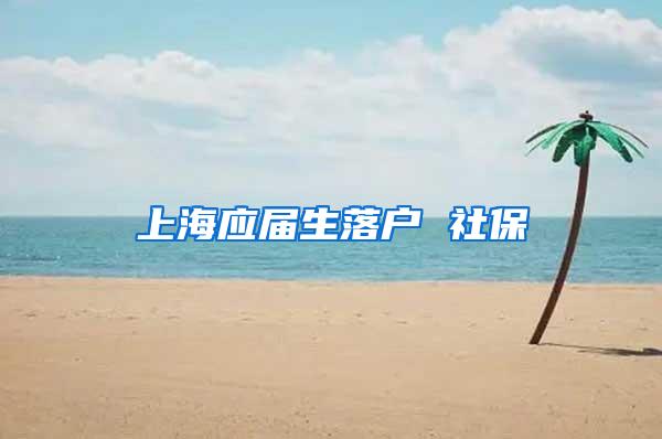 上海应届生落户 社保