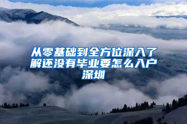 从零基础到全方位深入了解还没有毕业要怎么入户深圳