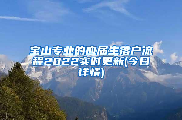 宝山专业的应届生落户流程2022实时更新(今日详情)