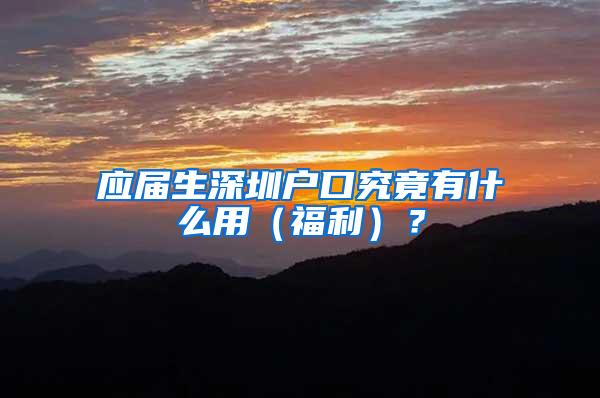 应届生深圳户口究竟有什么用（福利）？