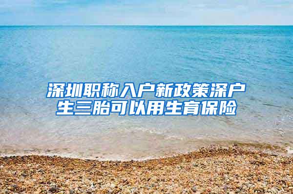 深圳职称入户新政策深户生三胎可以用生育保险