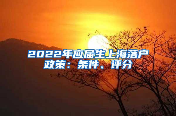 2022年应届生上海落户政策：条件、评分