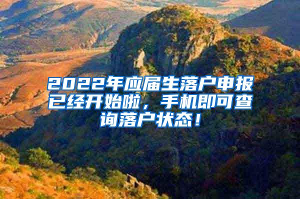 2022年应届生落户申报已经开始啦，手机即可查询落户状态！