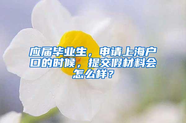 应届毕业生，申请上海户口的时候，提交假材料会怎么样？