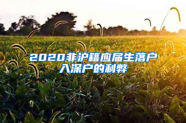 2020非沪籍应届生落户入深户的利弊