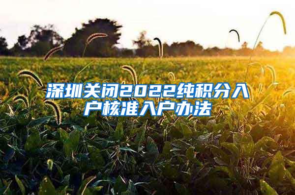 深圳关闭2022纯积分入户核准入户办法