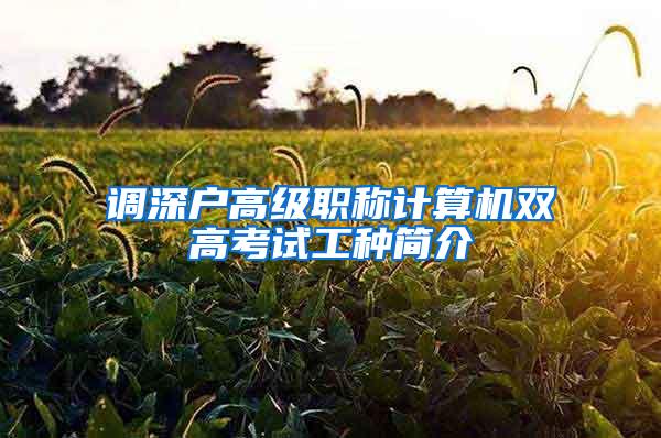 调深户高级职称计算机双高考试工种简介