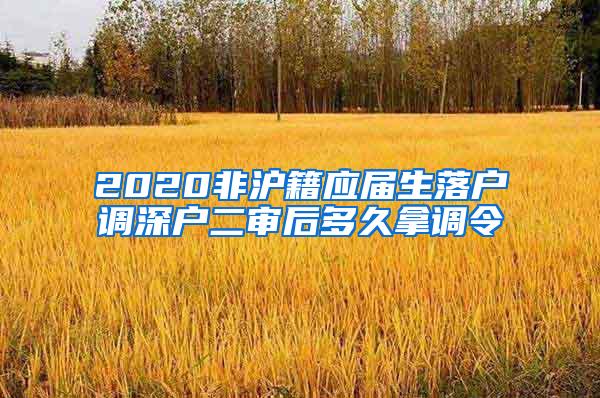 2020非沪籍应届生落户调深户二审后多久拿调令