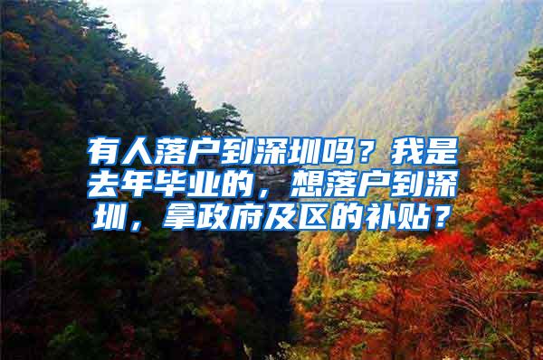 有人落户到深圳吗？我是去年毕业的，想落户到深圳，拿政府及区的补贴？