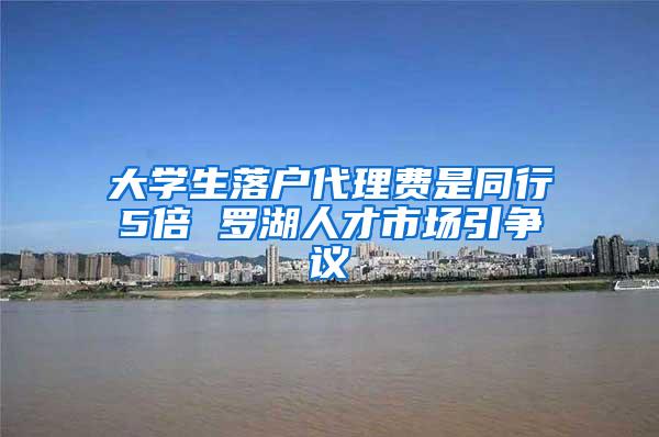 大学生落户代理费是同行5倍 罗湖人才市场引争议