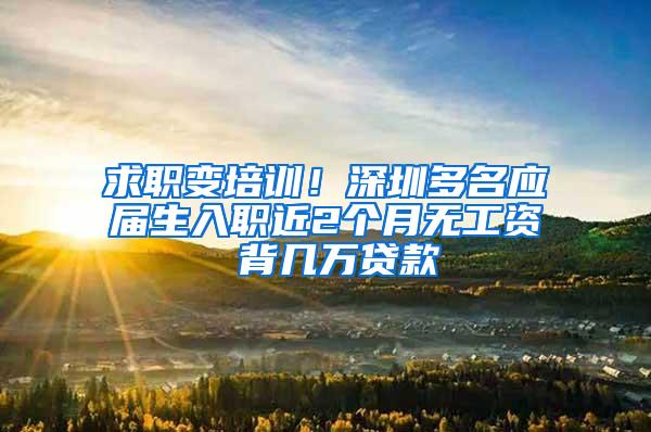 求职变培训！深圳多名应届生入职近2个月无工资 背几万贷款