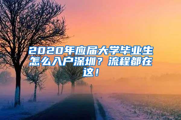 2020年应届大学毕业生怎么入户深圳？流程都在这！