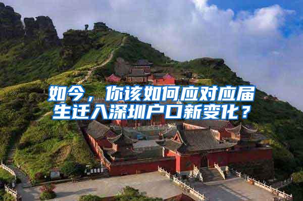 如今，你该如何应对应届生迁入深圳户口新变化？