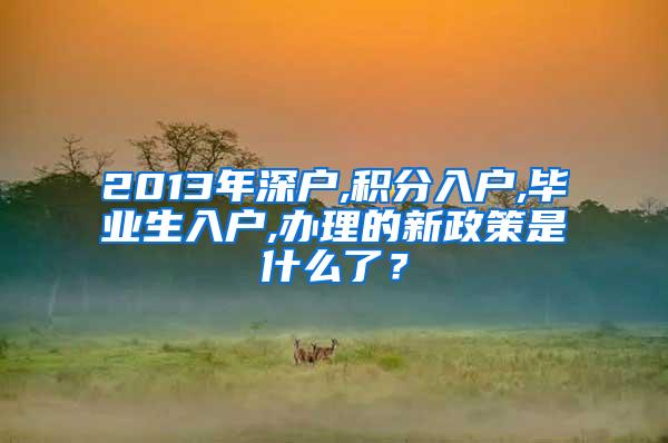 2013年深户,积分入户,毕业生入户,办理的新政策是什么了？