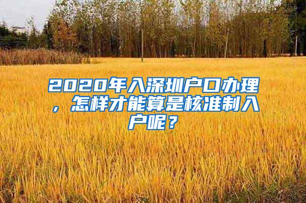 2020年入深圳户口办理，怎样才能算是核准制入户呢？