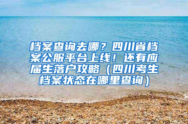 档案查询去哪？四川省档案公服平台上线！还有应届生落户攻略（四川考生档案状态在哪里查询）