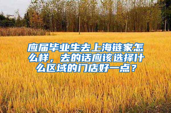 应届毕业生去上海链家怎么样，去的话应该选择什么区域的门店好一点？