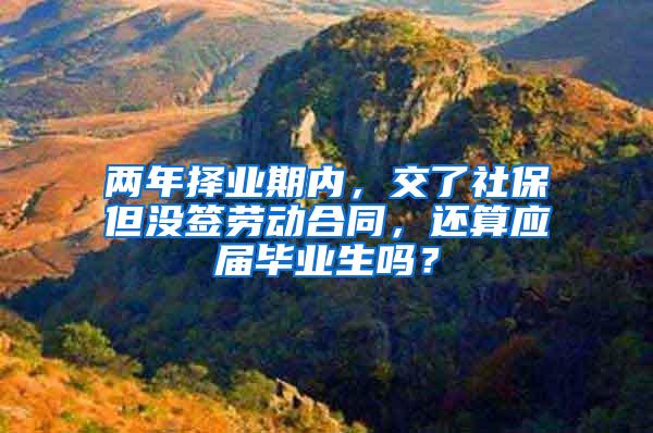 两年择业期内，交了社保但没签劳动合同，还算应届毕业生吗？