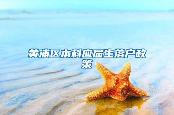 黄浦区本科应届生落户政策