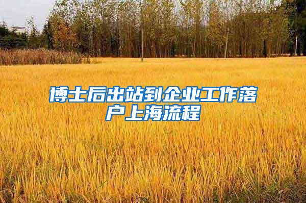 博士后出站到企业工作落户上海流程