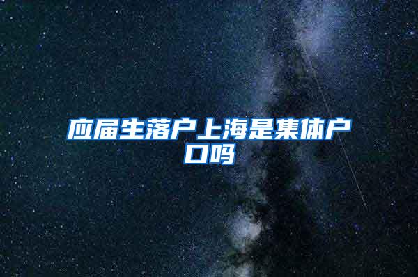 应届生落户上海是集体户口吗