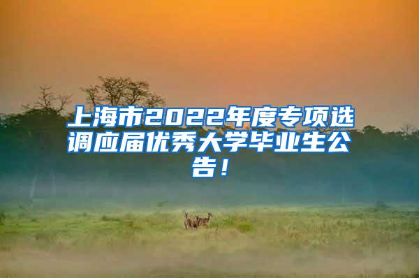 上海市2022年度专项选调应届优秀大学毕业生公告！