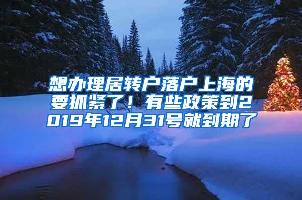 想办理居转户落户上海的要抓紧了！有些政策到2019年12月31号就到期了