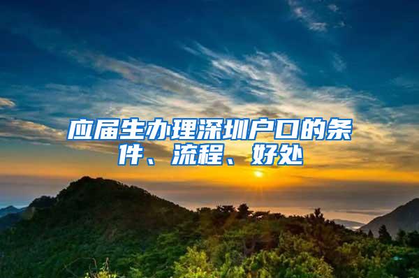 应届生办理深圳户口的条件、流程、好处