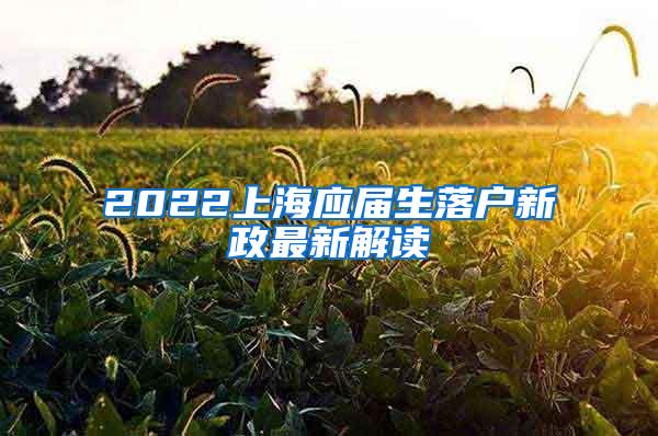 2022上海应届生落户新政最新解读