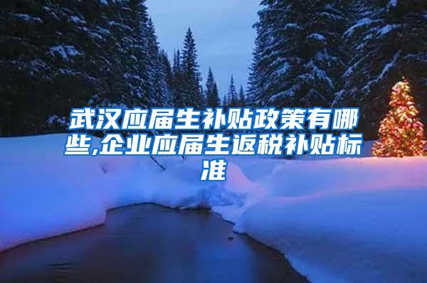 武汉应届生补贴政策有哪些,企业应届生返税补贴标准