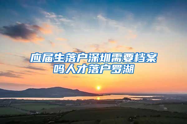 应届生落户深圳需要档案吗人才落户罗湖