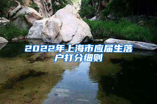 2022年上海市应届生落户打分细则