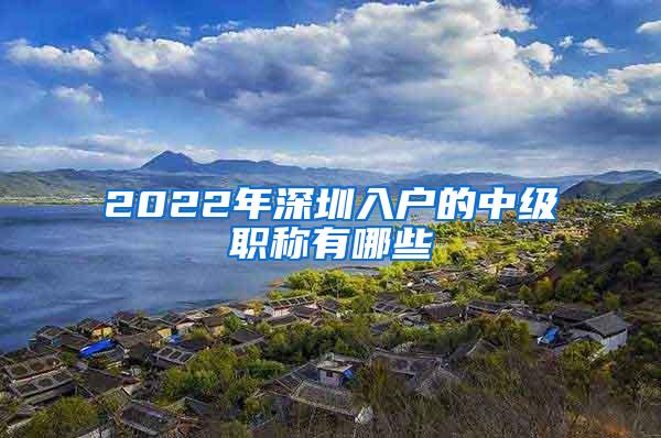 2022年深圳入户的中级职称有哪些